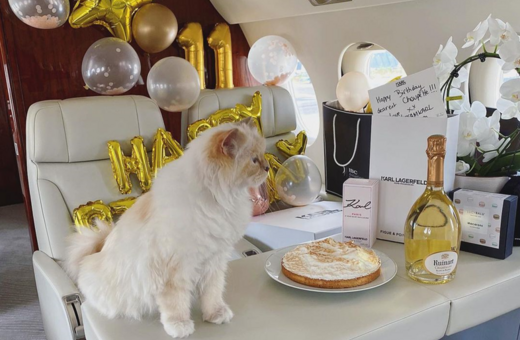 Η γάτα του Καρλ Λάγκερφελντ έγινε 11 ετών- «Πάρτι» σε ιδιωτικό τζετ