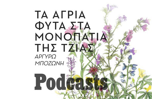 Χαρτογραφώντας τα φυτά που μεγαλώνουν άγρια στα μονοπάτια της Τζιας 