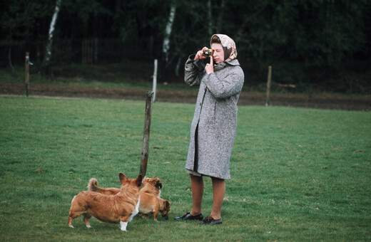 Where Queen Elizabeth’s beloved dogs and horses will go after her death