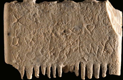 Ανακαλύφθηκε η «αρχαιότερη γραπτή πρόταση»- Σε μια χτένα για ψείρες