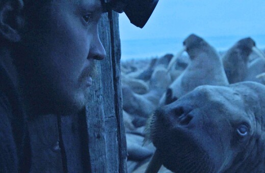 Ένα τρομακτικό ντοκιμαντέρ για τις χαοτικές επιπτώσεις της κλιματικής αλλαγής στους θαλάσσιους ίππους της Αρκτικής