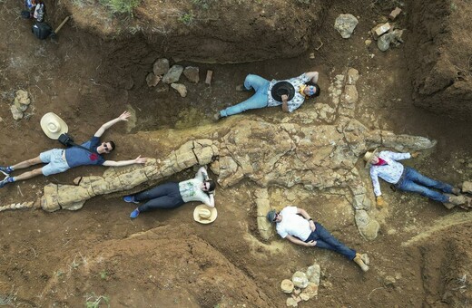 Ανακαλύφθηκε σκελετός θαλάσσιου ερπετού 100 εκατομμυρίων ετών – Ίσως «ξεκλειδώσει» την προϊστορική έρευνα