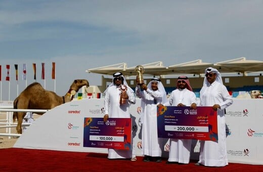 Για μια θέση στο βάθρο-Καμήλες σε διαγωνισμό ομορφιάς στο Κατάρ