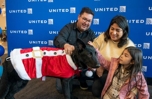 This dog was abandoned at the San Francisco airport. Then a pilot adopted him