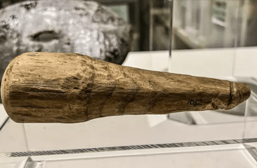 Αρχαιολόγοι πιστεύουν ότι ίσως βρέθηκε ο πρώτος ρωμαϊκός δονητής σε φυσικό μέγεθος- Ξύλινος, με μήκος 16 εκατοστά