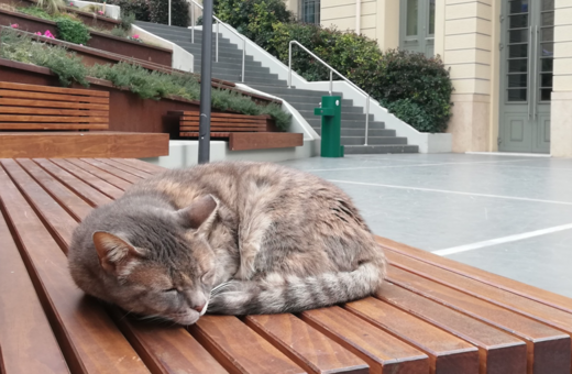 Το Ίδρυμα Γουλανδρή αποχαιρετά την Ελίζα- Τη «μασκότ» του Μουσείου