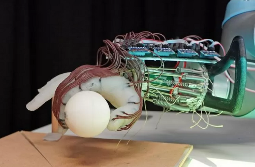 Πανεπιστήμιο Κέιμπριτζ: Επιστήμονες δημιούργησαν ρομποτικό χέρι ικανό να κρατάει αντικείμενα