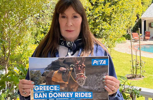 Αντζέλικα Χιούστον και PETA σε Μητσοτάκη: Aπαγορεύστε αμέσως κάθε μεταφορά τουριστών με γαϊδουράκια