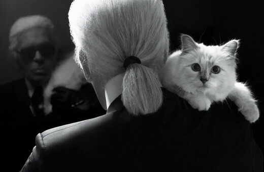 Met Gala 2023: Όλοι φέτος περιμένουν να δουν την Choupette, τη γάτα του Κάρλ Λαγκερφέλντ στο κόκκινο χαλί