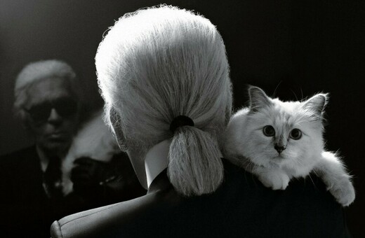 Choupette: Τι απέγινε το 1,5 εκατομμύριο δολάρια που κληρονόμησε η γάτα του Karl Lagerfeld