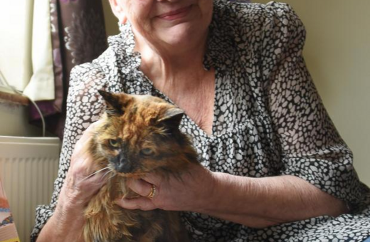 Αυτή είναι η γηραιότερη γάτα της Βρετανίας- Είναι 32 ετών και της αρέσει το φαγητό και ο ύπνος