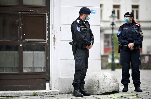 Αυστρία: Μητέρα βασάνιζε τον 12χρονο γιο της- Τον έκλεινε σε κλουβί για σκύλους