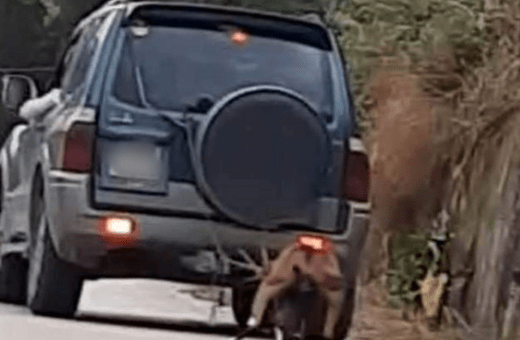 Πρόστιμο 30.000€ για κακοποίηση ζώου στη Ζάκυνθο- Έσερνε κατσίκα με το αυτοκίνητο
