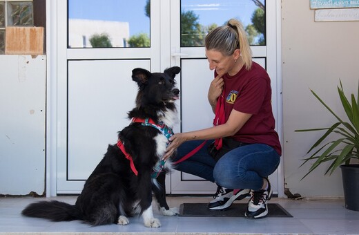 Η Royal Canin Hellas ενώνει τις δυνάμεις της με τη “Save a Greek Stray” και στηρίζει το πρόγραμμα «Ιαματική Ζωοφιλία»