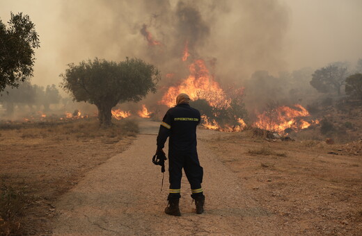 Φωτιά στα Δερβενοχώρια: Η μάχη με τις φλόγες σε 15 φωτογραφίες