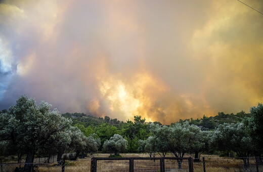 Λέκκας για φωτιά στη Ρόδο: 5 λόγοι για την καταστροφική πυρκαγιά 