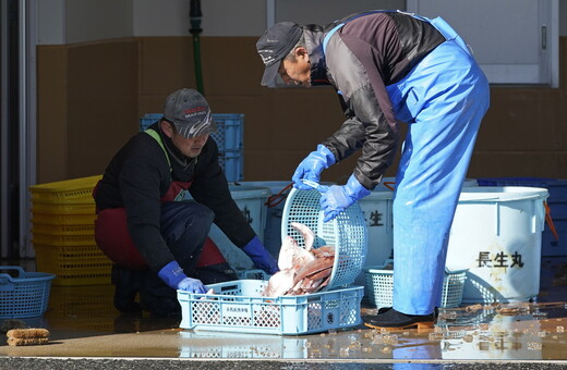 Φουκουσίμα: Εντοπίστηκε ψάρι με ραδιενέργεια 180 φορές πάνω από το όριο ασφαλείας