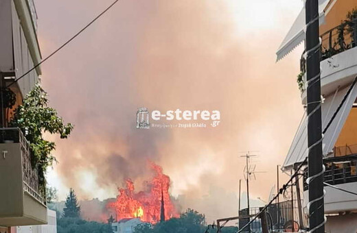 Φωτιά στη Θήβα - Στην περιοχή Αγία Τριάδα