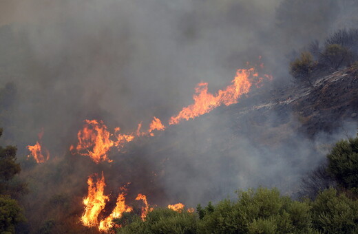 Φωτιές στην Αλγερία: Τουλάχιστον 34 νεκροί - Περικυκλώθηκαν από τις φλόγες