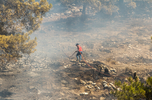 Φωτιά τώρα στο Βελεστίνο - Κοντά σε κτηνοτροφικές μονάδες 