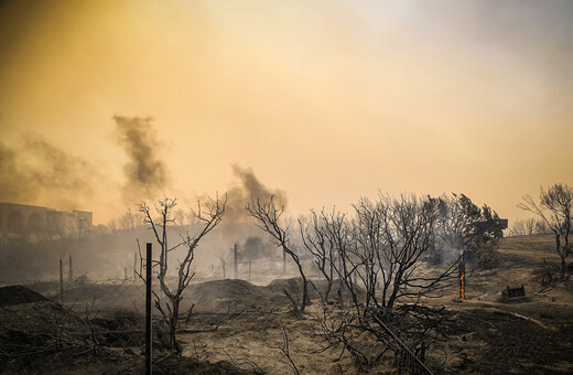 Φωτιές: Ρεκόρ 13 ετών σε καμένες εκτάσεις- Η καταστροφή που προκάλεσαν οι 5 μεγαλύτερες πυρκαγιές