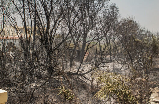 Φωτιά στη Ρόδο: Κάηκαν 135 χιλιάδες στρέμματα «καθαρό» δάσος