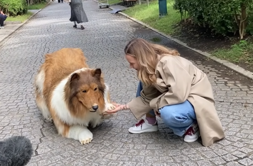 Ο άνδρας που «μεταμορφώθηκε» σε σκύλο απαντά τους επικριτές - Μετά την πρώτη του βόλτα