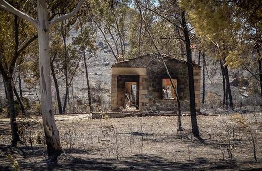 WWF: Ποιά είναι η καταστροφή στη Ρόδο πως θα έρθει η αναγέννηση
