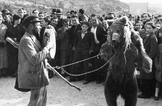 Οι Έλληνες ανέκαθεν φέρονταν στα ζώα με σκληρότητα