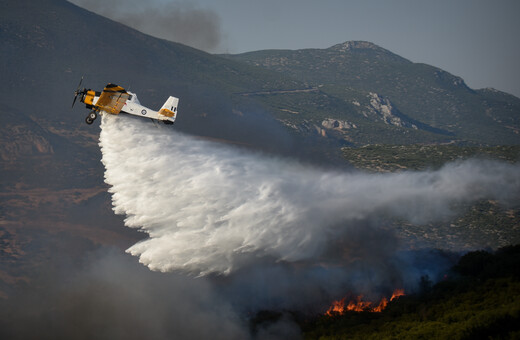 Φωτιά στη Φθιώτιδα: Πέθανε μελισσοκόμος που είχε υποστεί εγκαύματα