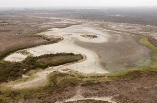 Ισπανία: Ξεράθηκε η μεγαλύτερη λίμνη του εθνικού πάρκου στην Ντονιάνα- Λόγω καύσωνα