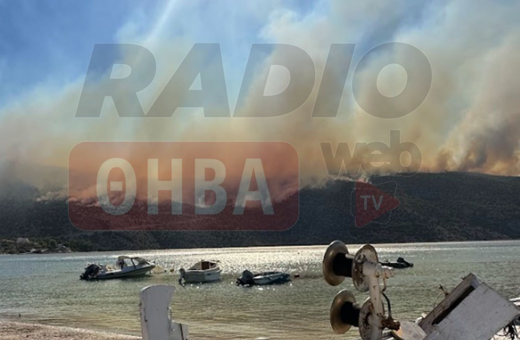 Φωτιά στη Βοιωτία: Απομακρύνονται 60 άτομα με σκάφη- Από την παραλία Σαράντη