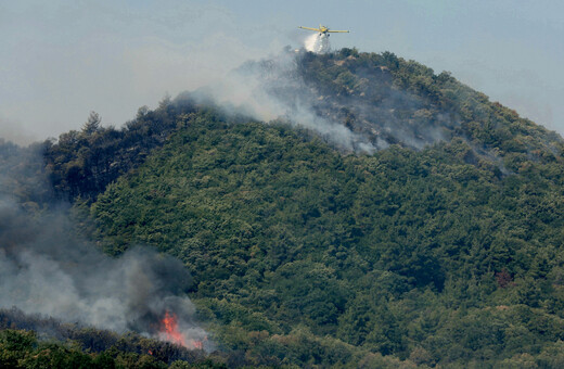 Καίγεται και το δάσος της Δαδιάς- Μεγάλες καταστροφές από τη φωτιά στην Αλεξανδρούπολη