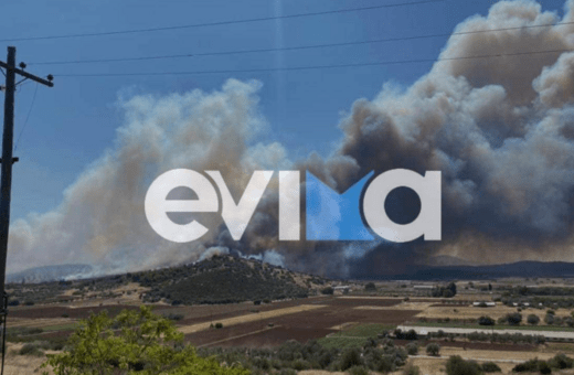 Φωτιά στην Εύβοια: Εντολή εκκένωσης περιοχών- «Από παντού πετάγονται φλόγες»