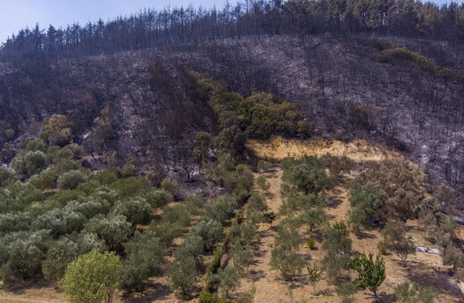 Περισσότερα από 617.000 στρέμματα κατέκαψε μέχρι σήμερα η πυρκαγιά στον Έβρο και πάνω από 50.000 στη Φυλή Αττικής