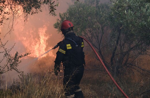 Φωτιές: Όλο το βάρος στον Έβρο πριν αλλάξουν οι άνεμοι - Η κατάσταση σε όλα τα πύρινα μέτωπα 