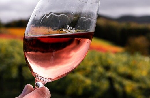 Γιατί στη Γαλλία δίνουν 200 εκατ. ευρώ για να καταστρέψουν κρασί