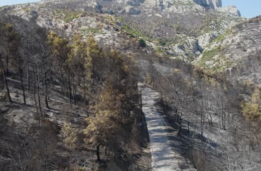 Η Φυλή πριν και μετά την καταστροφική φωτιά - Εικόνες από drone