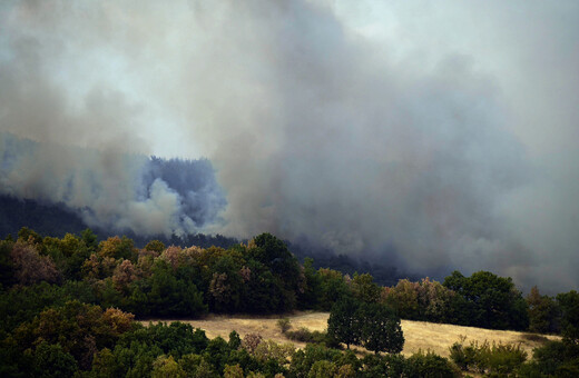 Φωτιά στον Έβρο: Σε ποια σημεία έχει επικεντρωθεί η μάχη με τις φλόγες- 582 πυροσβέστες στα μέτωπα