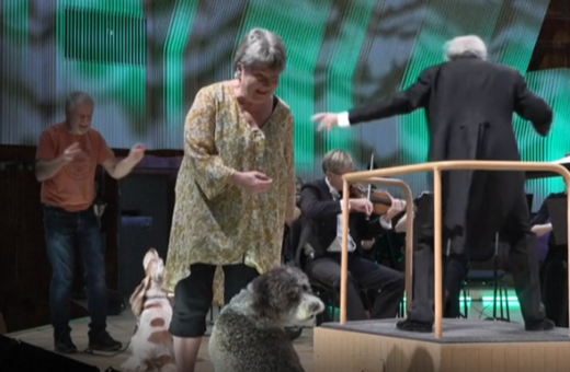 Σκύλοι σε ρόλο μουσικού: Ερμηνεύουν Μότσαρτ σε συναυλία στη Δανία 