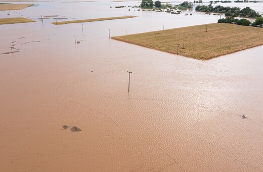 Κακοκαιρία - Αγαπηδάκη: «Όλα τα λιμνάζοντα νερά πρέπει να να αντιμετωπίζονται ως δυνητικά μολυσμένα»