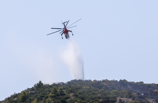 Φωτιά τώρα στη Φθιώτιδα - Σηκώθηκαν δύο αεροπλάνα και ένα ελικόπτερο 