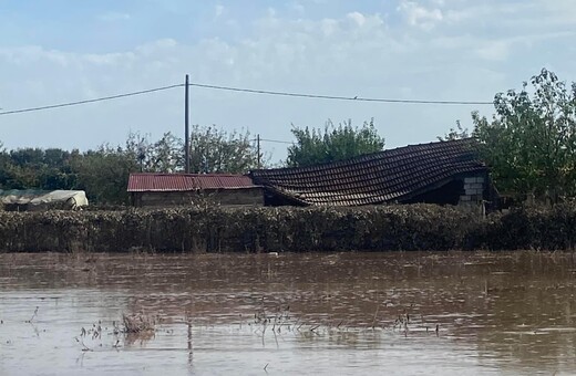 Θεσσαλία: Χωρίς πόσιμο νερό για 14η μέρα ο Βόλος - Ακόμα συλλέγονται νεκρά ζώα