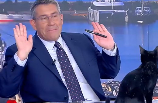 Μαύρη γάτα μπήκε στο στούντιο του ΣΚΑΪ- «κ. Φίλη δεν είναι καλό μήνυμα αυτό για τον ΣΥΡΙΖΑ» σχολίασε ο Οικονόμου