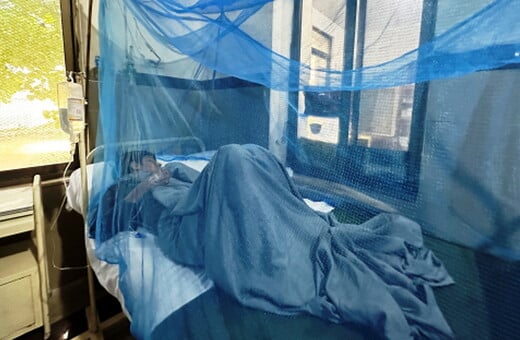 Δάγκειος πυρετός: Θα «απογειωθεί» αυτή τη δεκαετία σε νότια Ευρώπη, ΗΠΑ και Αφρική
