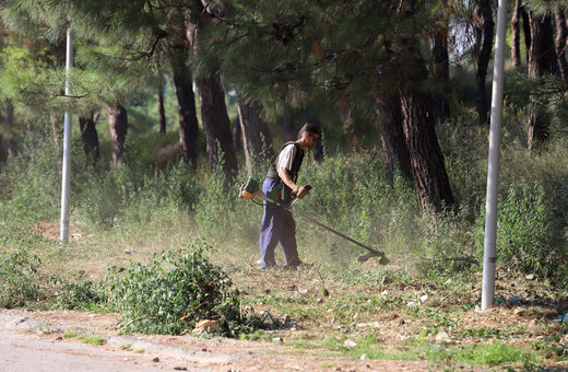 Δάση: Διαχείριση και προστασία με χρηματιστήριο ρύπων