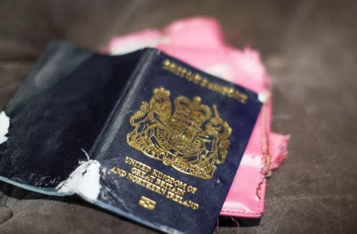Ο σκύλος έφαγε το διαβατήριό της, χάνει τον τελικό του Παγκοσμίου κυπέλλου ράγκμπι