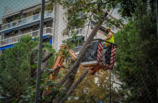 Εξάρχεια - Ριζάρη: Συμβαίνουν «δενδροκτονίες» στην Αθήνα;