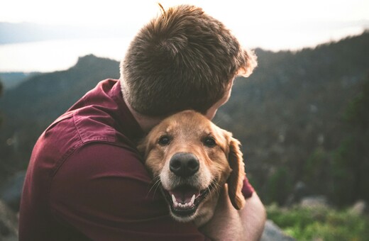 Τι μπορούν να μας διδάξουν τα golden retriever για τον καρκίνο;