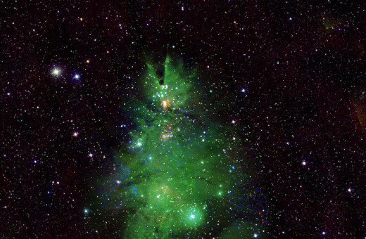 Το «Χριστουγεννιάτικο Δέντρο» της NASA από τα φώτα σμήνους αστέρων 